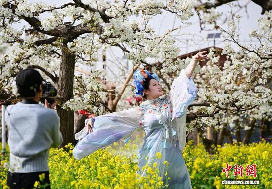 4月3日，河北省石家庄市赵县，游客打卡拍照、踏春赏花。中新社记者 翟羽佳 摄