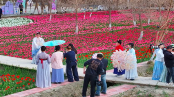游客漫步花海之中，驻足拍照、踏青赏景，沉浸式感受春日浪漫氛围。

