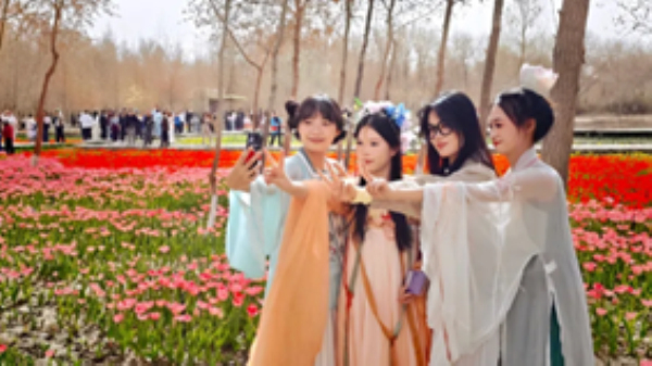 游客漫步花间，赏花观鸟、拍照打卡，邂逅优雅天鹅，共赏生态美景，绘就人与自然和谐共生的动人画卷。