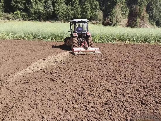 松桃普觉辣椒种植基地里,村民驾驶农机翻犁田土。 松桃普觉辣椒种植基地里,村民驾驶农机翻犁田土。