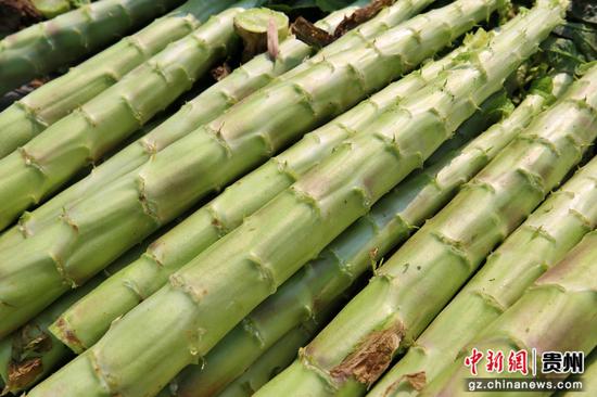 鲜嫩的莴笋 鲜嫩的莴笋