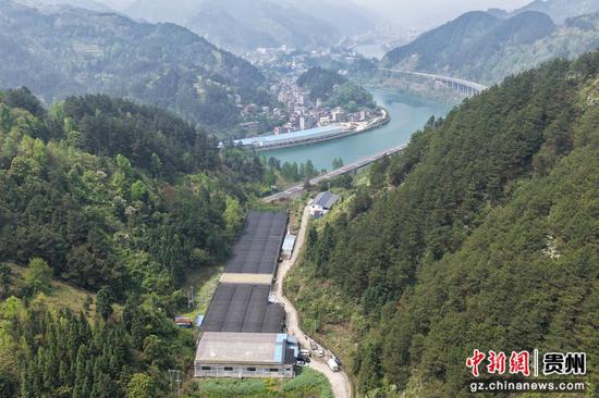 剑河欣新农业科技发展有限公司育秧基地。彭开燚 摄