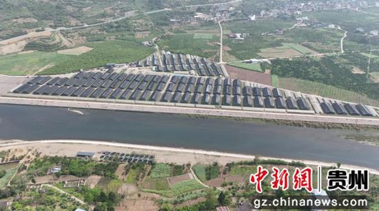 图为位于石阡县河坝镇的木耳基地。黎祖艳摄 图为位于石阡县河坝镇的木耳基地。黎祖艳摄