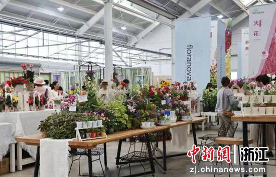 虹越花卉展示各类产品。受访者&nbsp;供图