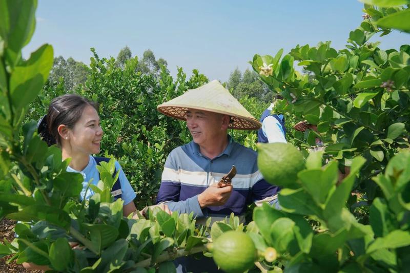 ▲桂林银行工作人员深入田间开展金融服务