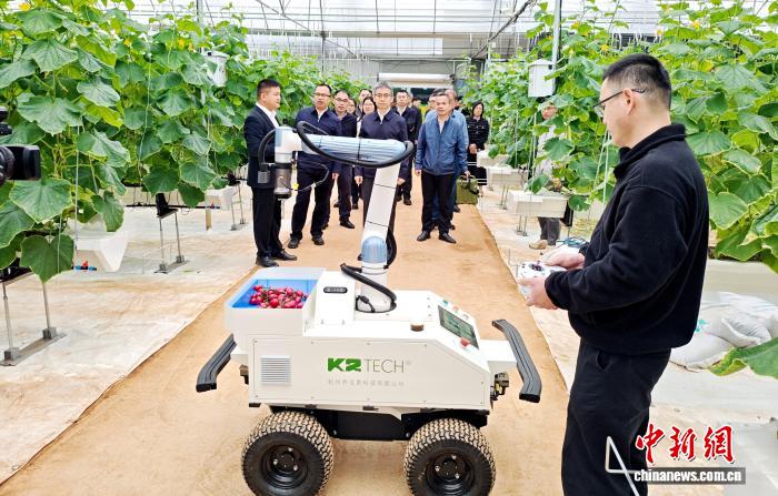 广西贺州：机器人“采手”进大棚 抛秧机“下地”抢农时