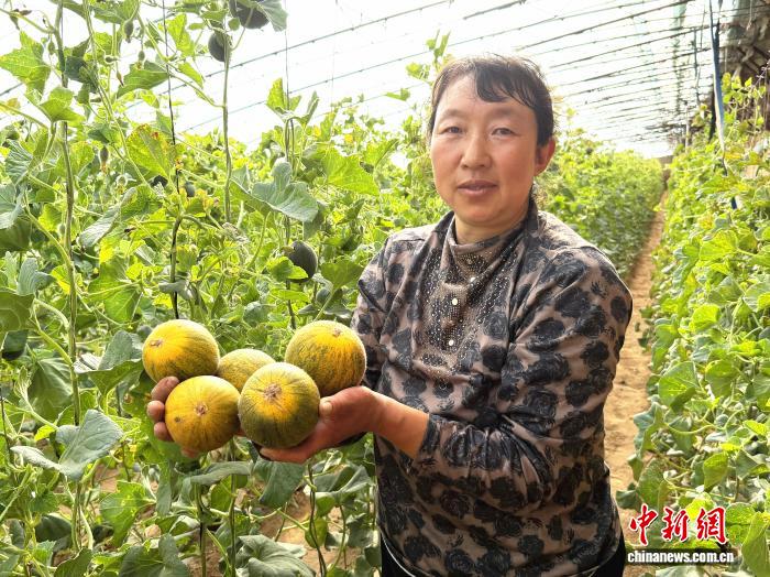 春到黄河“几”字弯