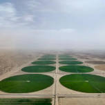 塔克拉玛干沙漠边缘出现“绿色圆盘”，沙漠变良田！