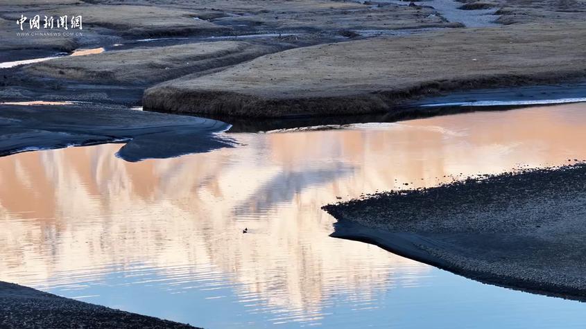 大美边疆看我家丨新疆喀什：春日野鸭湖 雪山映碧波