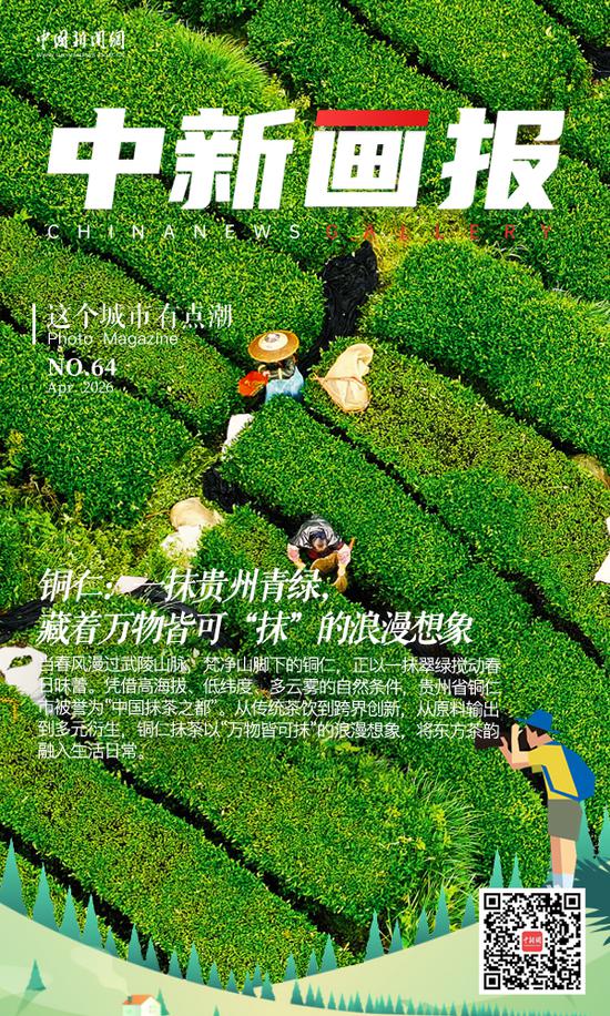 图为村民在贵州省铜仁市江口县坝盘镇挂扣村抹茶种植基地采割抹茶鲜叶。 图为村民在贵州省铜仁市江口县坝盘镇挂扣村抹茶种植基地采割抹茶鲜叶。