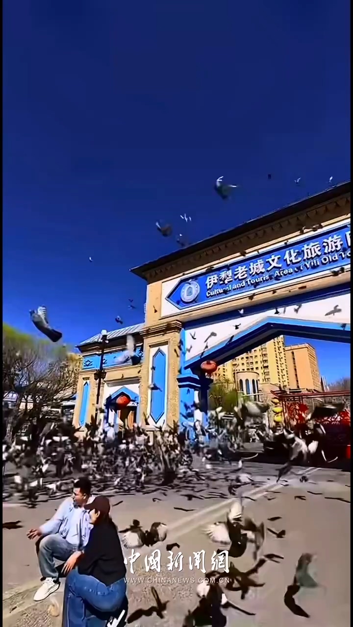 大美边疆看我家丨飞鸟过老城 春风满伊犁