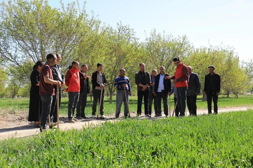 春灌進行時！疏附縣22.4萬畝小麥二水灌溉筑牢夏糧豐收底氣