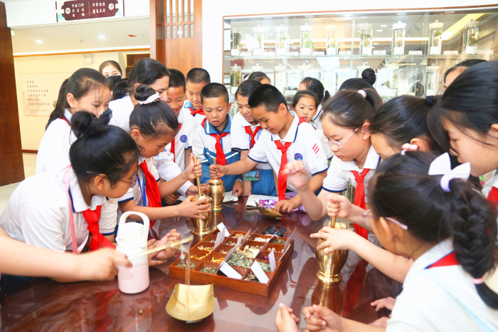 摸薄荷、猜藥謎、唱節(jié)氣歌，精河縣中醫(yī)藥主題研學實踐很有趣~