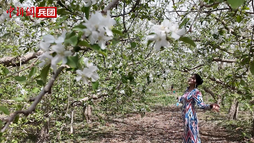 以“阅读+文旅+非遗+农技”织就六团文化新图景