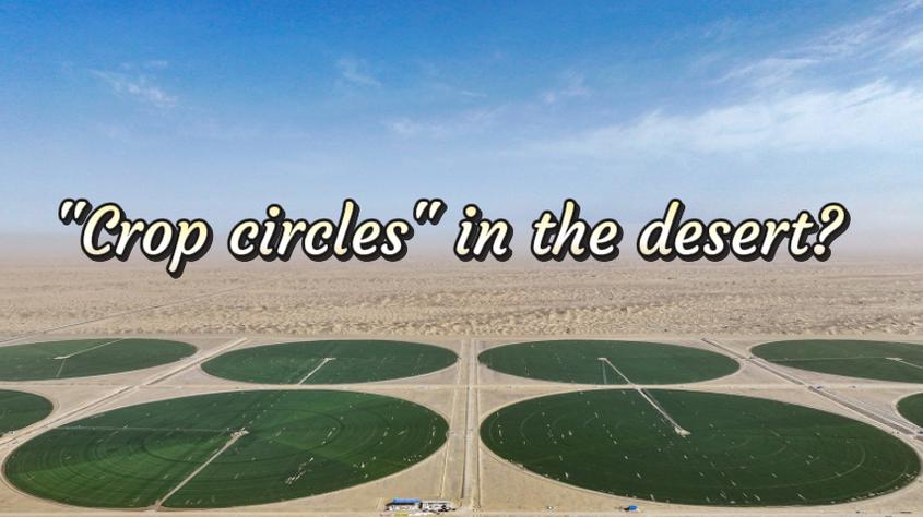 Green 'crop circles' emerge on edge of Taklimakan Desert