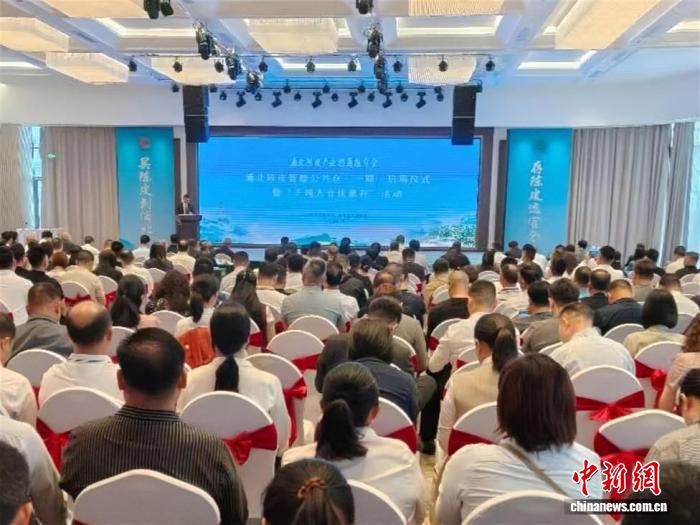 广西浦北陈皮智能公共仓启用 推出多重优惠