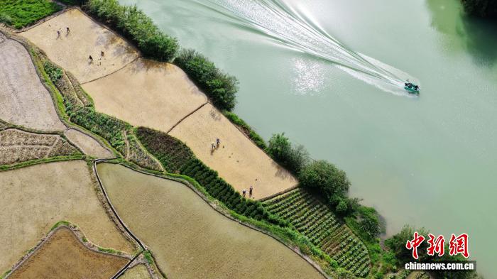 广西侗乡抢抓农时春耕忙 阡陌田园披新绿