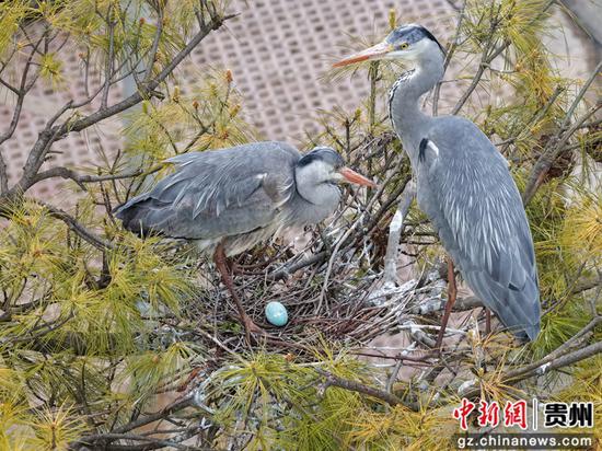 管庆巍 摄
