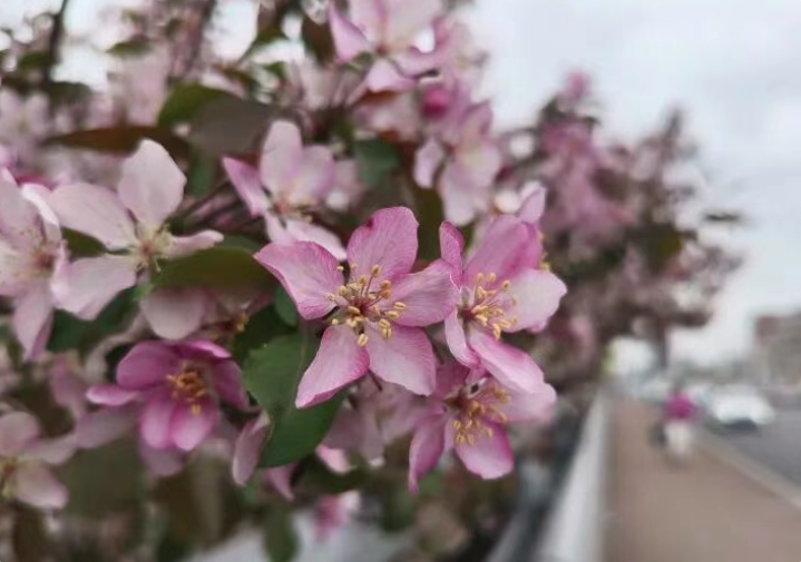 今日谷雨！速看全疆天气预报→