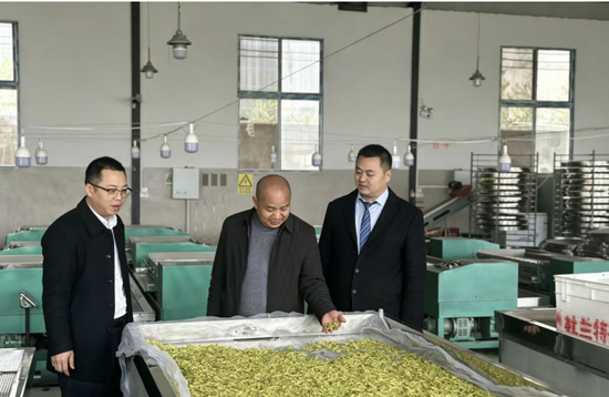 客户向工作人员介绍茶叶加工情况 客户向工作人员介绍茶叶加工情况