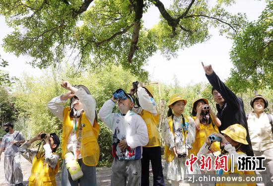26日，浙江温州三垟湿地“羽汇三垟，声动园博”爱鸟周专场活动期间，孩子们观察湿地内鸟类。郑鹏&nbsp;摄