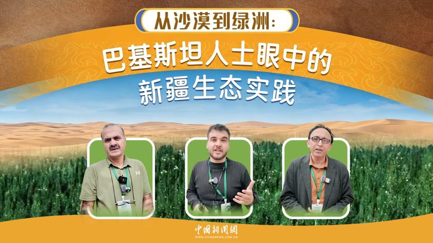 斗沙十余年，荒漠披绿毯 巴基斯坦人士：新疆治沙经验值得借鉴丨真相