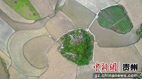 贵州兴义万峰林农耕插秧忙。