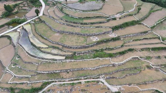 仁怀市五马镇屯山村刚修缮好的沟渠全景