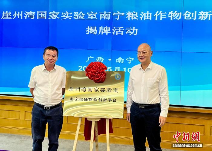 崖州湾国家实验室南宁粮油作物创新平台揭牌