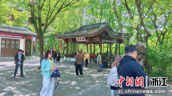 游客在西施故里游玩。郑宇航&nbsp;摄
