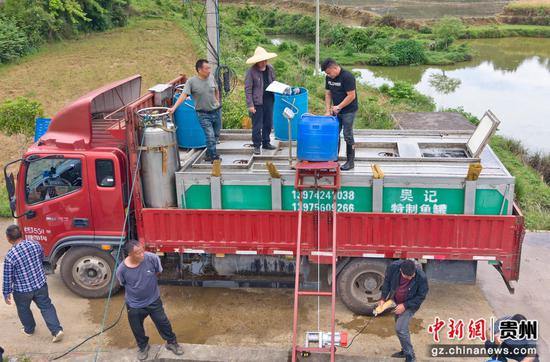 村民们正在将鱼装车。万再祥 摄