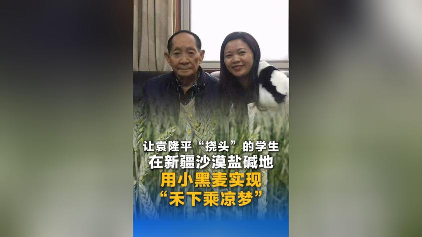 已经一人多高了！让袁隆平“挠头”的学生在新疆沙漠盐碱地，用小黑麦实现袁老师的“禾下乘凉梦”