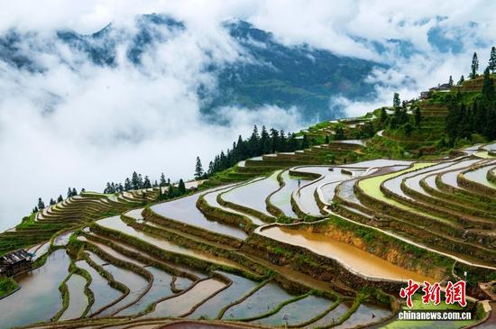 5月16日，初夏雨后，位于贵州省黔东南苗族侗族自治州从江县加榜乡的加榜梯田依山舒展，宛若水墨画卷。吴德军 摄