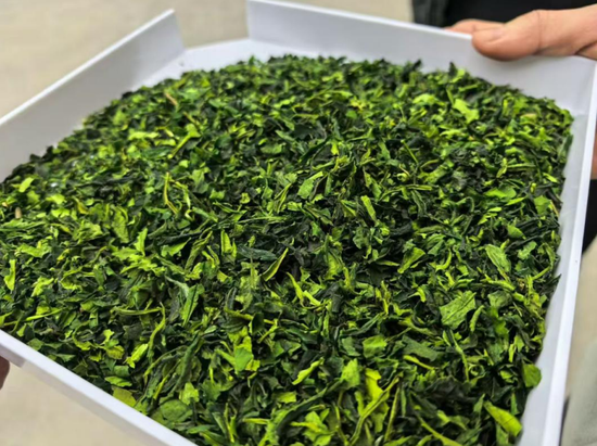 烘干后的优质茶叶