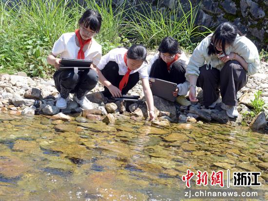 开化县齐溪镇中心学校学生在小溪边观察石头下面的娃娃鱼。 (资料图,齐溪镇中心学校供图) 开化县齐溪镇中心学校学生在小溪边观察石头下面的娃娃鱼。 (资料图,齐溪镇中心学校供图)