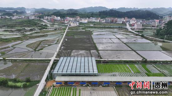 广顺镇马路村全程机械化工厂育秧基地。