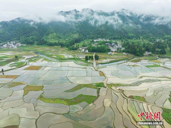 图为航拍务川仡佬族苗族自治县黄都镇东山大坝初夏美景。（无人机照片）
