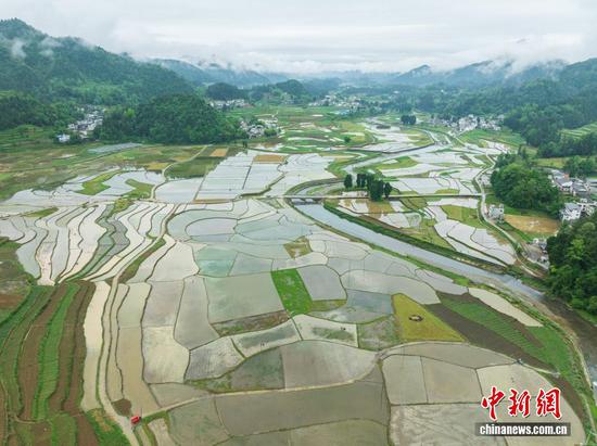 图为航拍务川仡佬族苗族自治县黄都镇东山大坝初夏美景。（无人机照片）