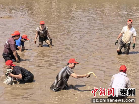 抓鱼
