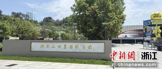 “围棋仙地”