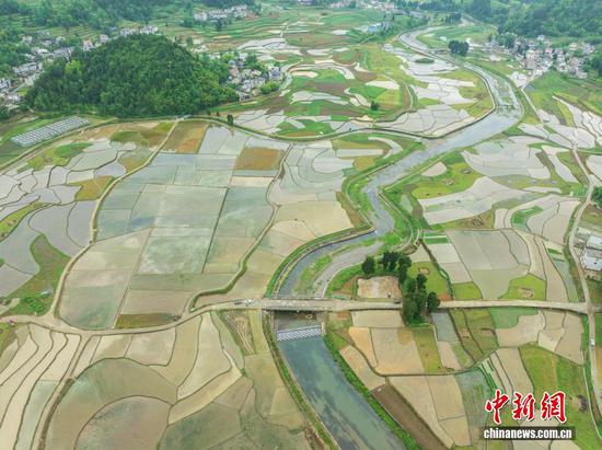 图为航拍务川仡佬族苗族自治县黄都镇东山大坝初夏美景。（无人机照片）