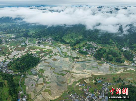 图为航拍务川仡佬族苗族自治县黄都镇东山大坝初夏美景。（无人机照片）