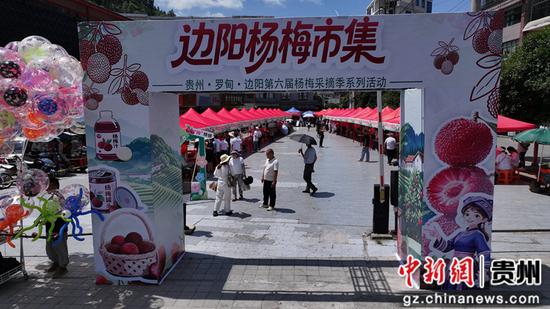 杨梅市集