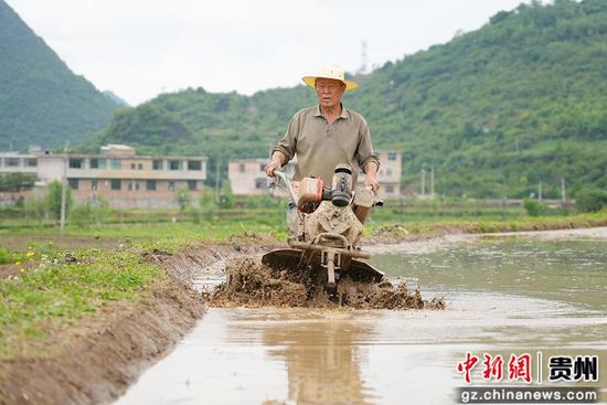 村民正在犁田。李锦明 摄 村民正在犁田。李锦明 摄