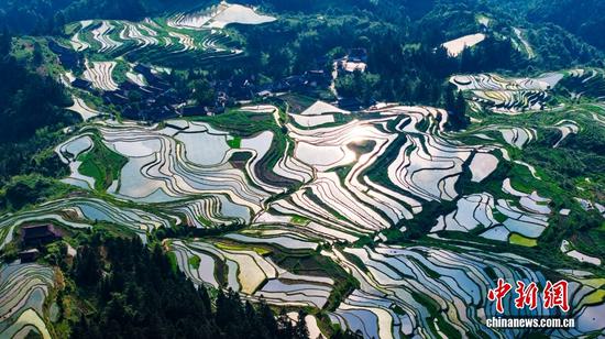 5月26日，俯瞰贵州省黔东南苗族侗族自治州从江县翠里瑶族壮族乡南岑村、岑丰村的南丰梯田，层层叠叠的梯田与青山、村寨、劳作的村民相互映衬，在阳光的照射下美不胜收，构成一幅生机勃勃的乡村田园画卷。图为南丰梯田的田园风光。图/CNSphoto 吴德军 摄