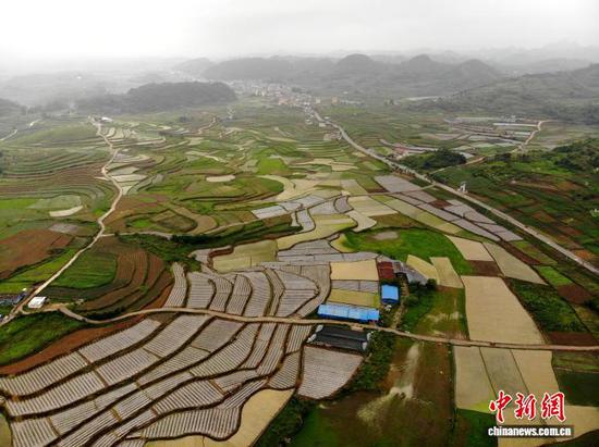 5月28日，雨后初霁的贵州省安顺市平坝区白云镇上空云雾缭绕，层层叠叠的田垄泛着润泽的光泽，青山、民居、道路被轻纱般的雾气包裹，勾勒出一幅秀美的初夏乡村生态画卷。图为雨后初霁的贵州省安顺市平坝区白云镇田园风光。石小杰 摄