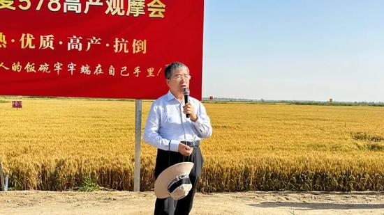 6月2日，地区小麦大面积单产提升暨“中麦578”高产观摩会在墨玉县吐外特乡琼库勒村高产示范田召开。努尔古再丽 摄