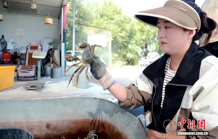 沙海逆袭 新疆兵团小镇景美鱼蟹肥