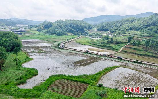 2026年6月2日，村民在贵州省道真仡佬族苗族自治县隆兴镇浣溪村田间移栽秧苗。