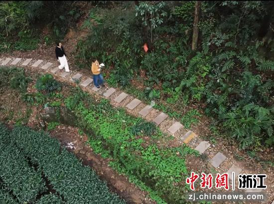郭为民和冯慧川在杭州西湖吉庆山深处的荒坡上修路。受访者 供图 郭为民和冯慧川在杭州西湖吉庆山深处的荒坡上修路。受访者 供图